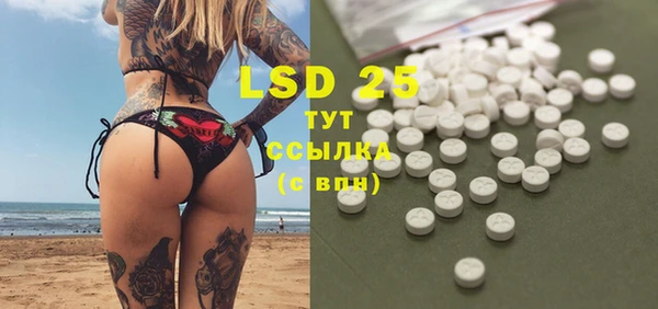 прущие грибы Володарск