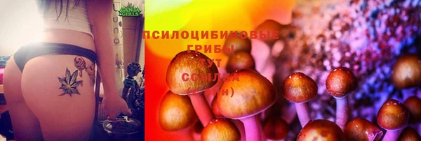 мдпв Волоколамск
