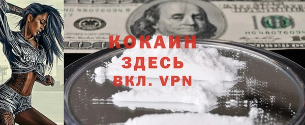прущие грибы Володарск