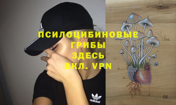 мдпв Волоколамск